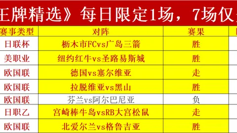 巨头呼吁研发放缓引反垄断风波：、、、谷歌齐遭集体诉讼避雷指南